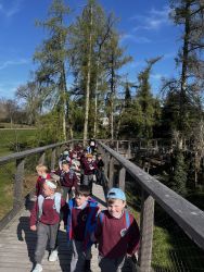Junior Infants trip to Beyond the trees!